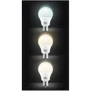 Ampoule KOOL.STAR LAMP LED 23