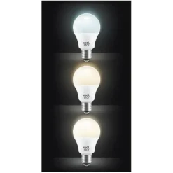 Ampoule KOOL.STAR LAMP LED 23