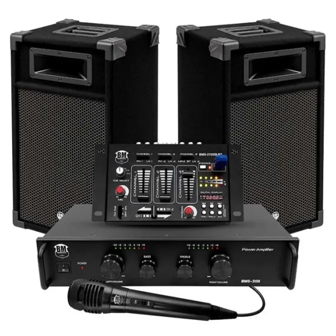 Enceinte amplifiée BM SONIC DJ 300