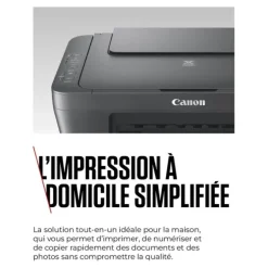 Imprimante CANON MG2556S multifonction SANS WIFI