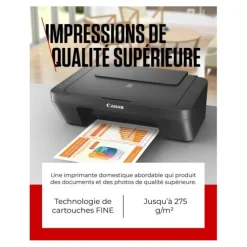 Imprimante CANON MG2556S multifonction SANS WIFI