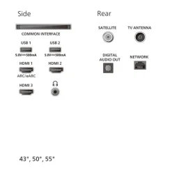 TV QLED 55