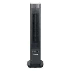 Ventilateur + Chauffage VALBERG 2IN1